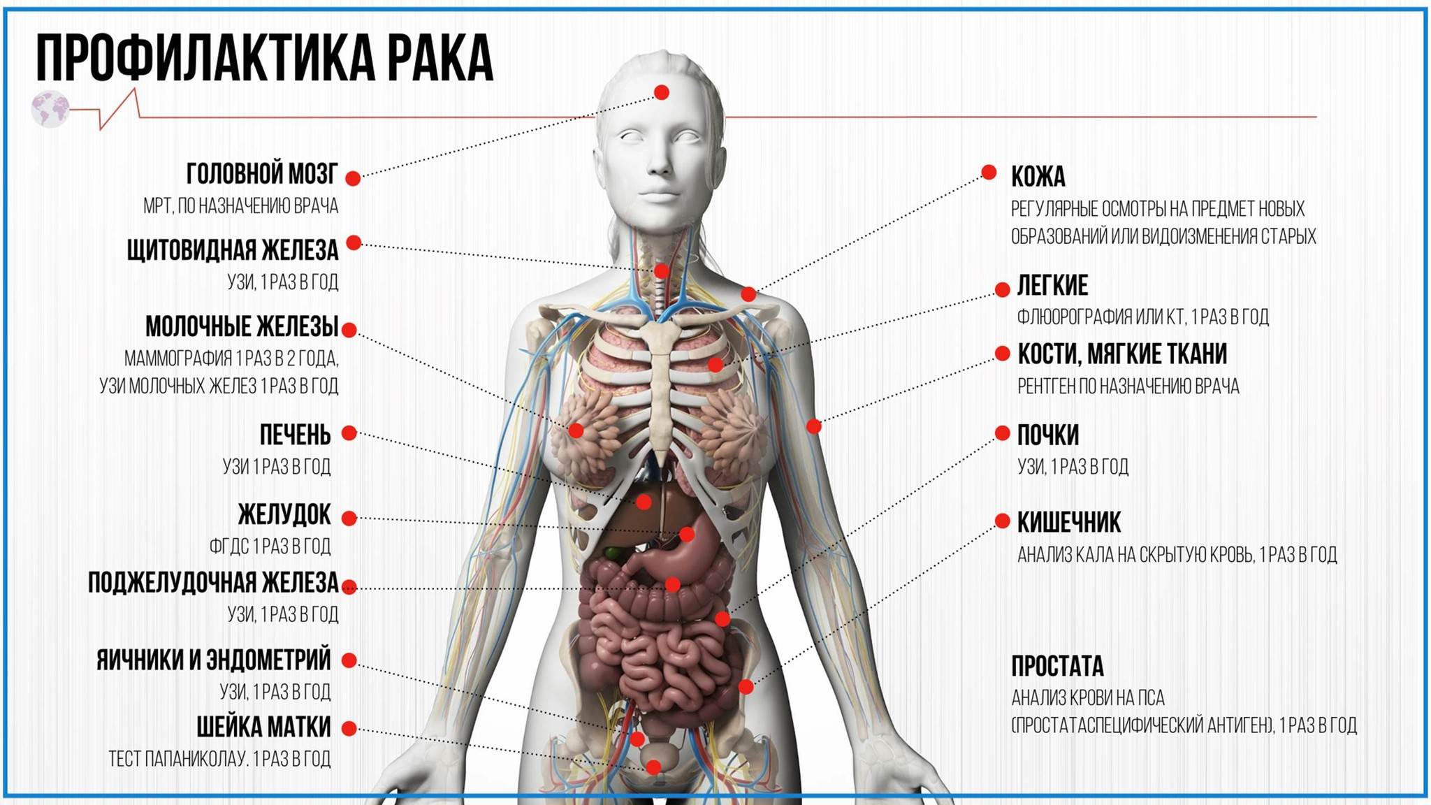 О факторе риска, симптомах и профилактике онкозаболевания